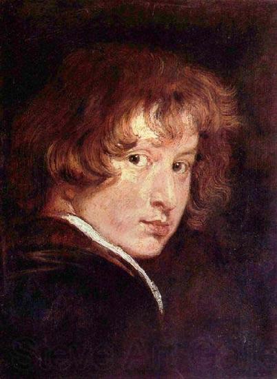 Anthony Van Dyck Self portrait, Norge oil painting art